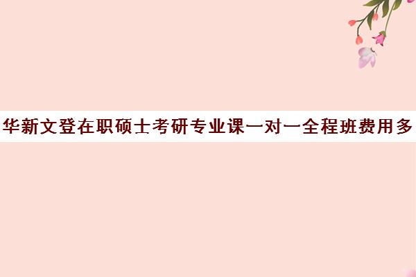 华新文登在职硕士考研专业课一对一全程班费用多少钱（华新文登考研官网）