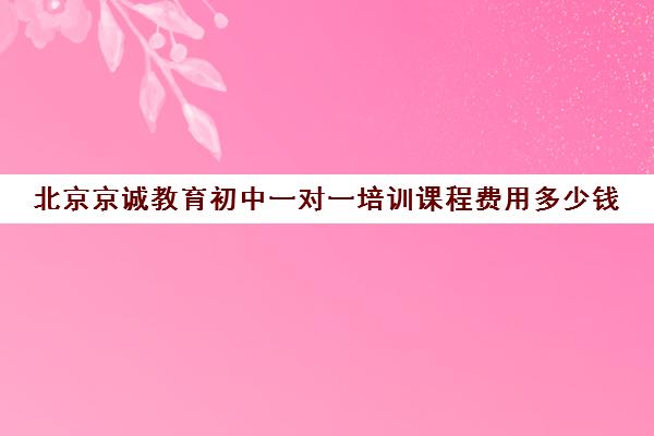 北京京诚教育初中一对一培训课程费用多少钱（北京一对一教育机构排名）