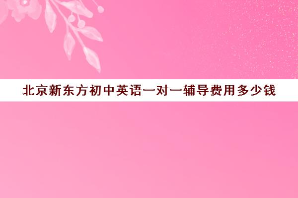 北京新东方初中英语一对一辅导费用多少钱（新东方高中一对一收费标准2024）