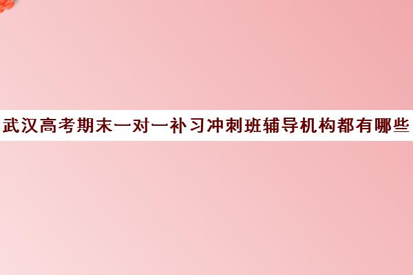 武汉高考期末一对一补习冲刺班辅导机构都有哪些