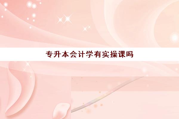 专升本会计学有实操课吗(会计专升本考试考什么)