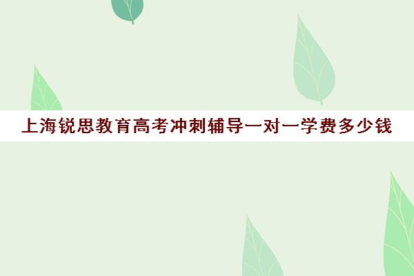 上海锐思教育高考冲刺辅导一对一学费多少钱（高考线上辅导机构有哪些比较好）