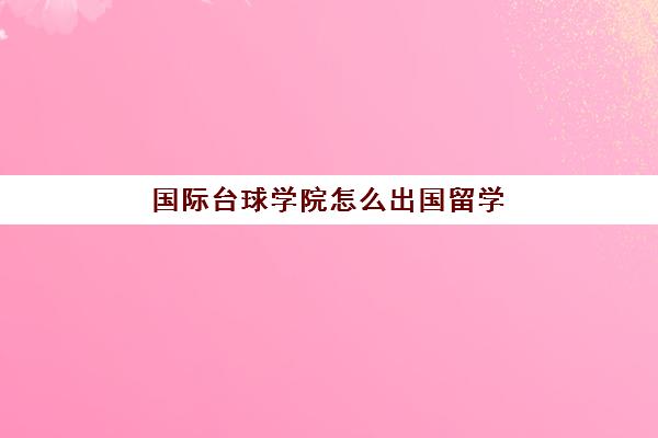 国际台球学院怎么出国留学(国际台球学院招生)