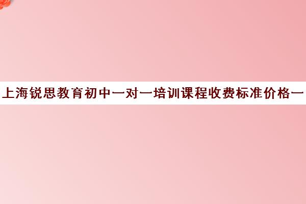 上海锐思教育初中一对一培训课程收费标准价格一览（上海初中一对一辅导价格）