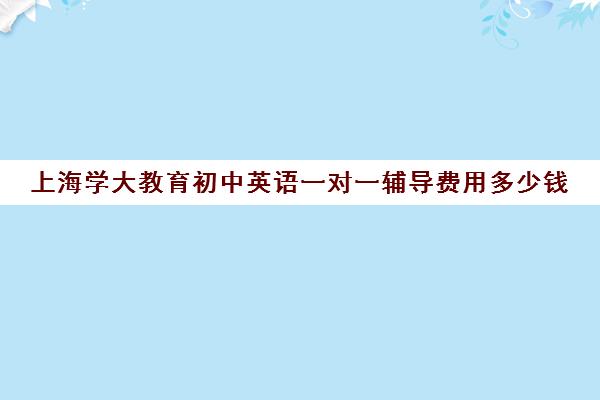 上海学大教育初中英语一对一辅导费用多少钱（初中英语一对一课程）