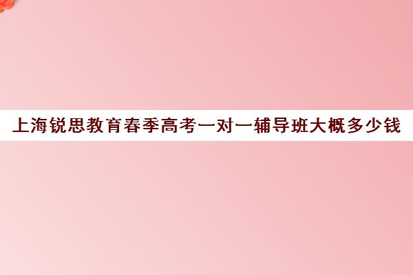 上海锐思教育春季高考一对一辅导班大概多少钱（春季高考培训班学费）