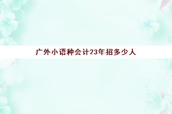 广外小语种会计23年招多少人(小语种大专院校)