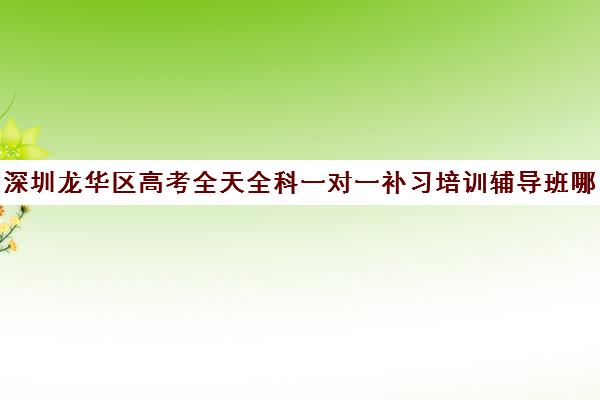 深圳龙华区高考全天全科一对一补习培训辅导班哪个好