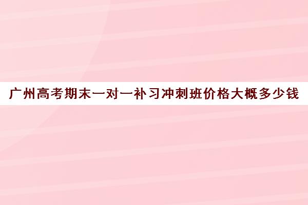 广州高考期末一对一补习冲刺班价格大概多少钱