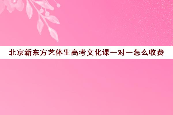 北京新东方艺体生高考文化课一对一怎么收费（北京艺考文化课培训学校）