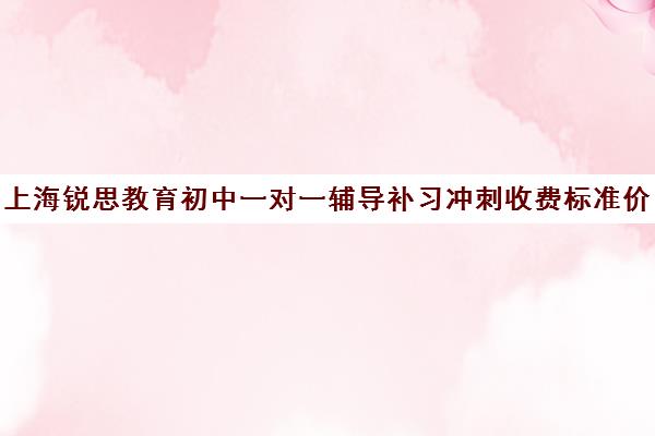 上海锐思教育初中一对一辅导补习冲刺收费标准价格一览