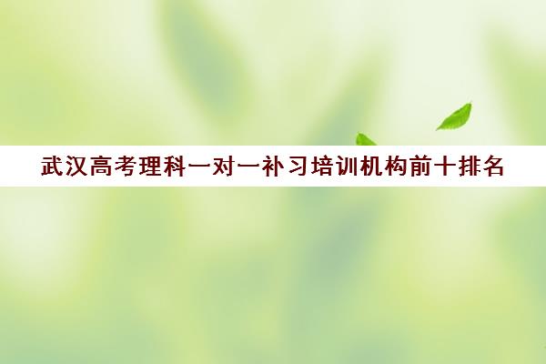 武汉高考理科一对一补习培训机构前十排名