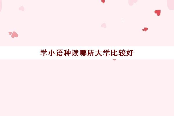 学小语种读哪所大学比较好(小语种大学排名及分数)