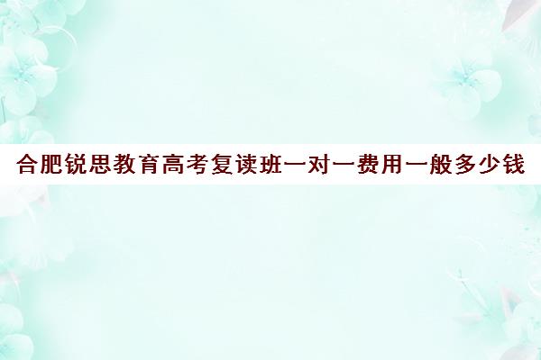 合肥锐思教育高考复读班一对一费用一般多少钱(锐思教育官网)