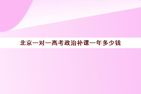 北京一对一高考政治补课一年多少钱(高考一对一辅导多少钱一小时)