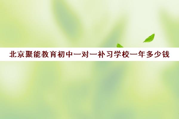 北京聚能教育初中一对一补习学校一年多少钱