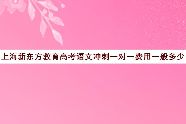 上海新东方教育高考语文冲刺一对一费用一般多少钱(新东方托福一对一收费价格表)