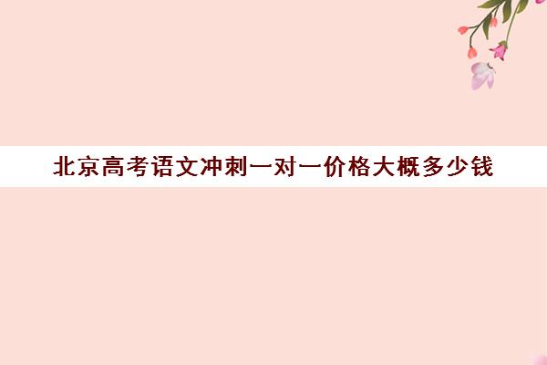 北京高考语文冲刺一对一价格大概多少钱(北京高中补课机构排名)