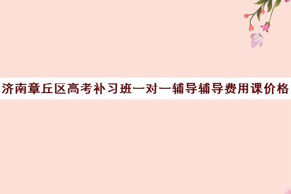 济南章丘区高考补习班一对一辅导辅导费用课价格多少钱