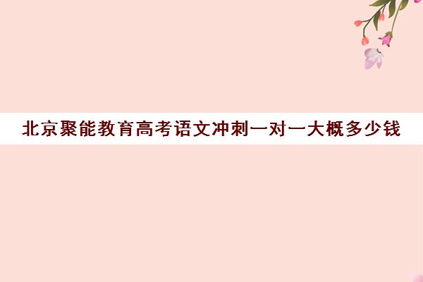 北京聚能教育高考语文冲刺一对一大概多少钱（聚能教育靠谱吗）