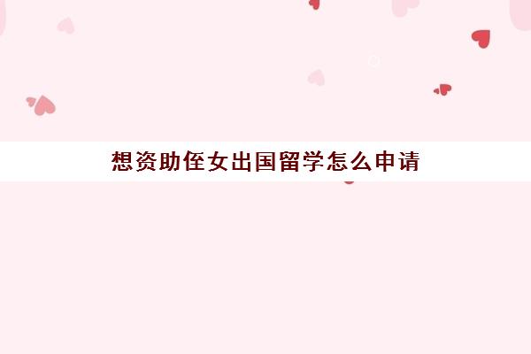 想资助侄女出国留学怎么申请(去国外探望留学孩子怎么办签证)