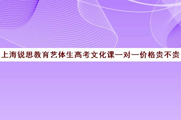 上海锐思教育艺体生高考文化课一对一价格贵不贵？多少钱一年（上海艺考培训机构排行榜