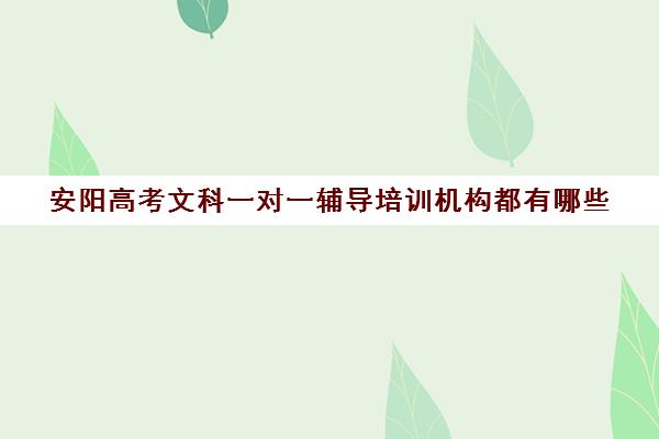 安阳高考文科一对一辅导培训机构都有哪些(有专门培训高考的机构吗)