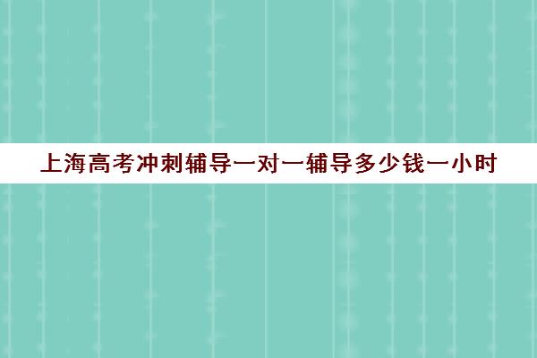 上海高考冲刺辅导一对一辅导多少钱一小时(一对一辅导有效果吗)