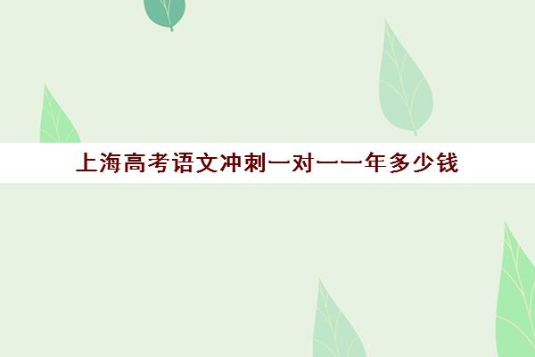 上海高考语文冲刺一对一一年多少钱(上海高考教辅推荐)