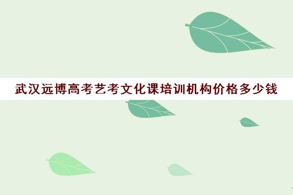 武汉远博高考艺考文化课培训机构价格多少钱(武汉前程高考培训学校学费)