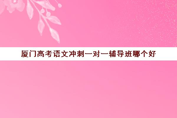 厦门高考语文冲刺一对一辅导班哪个好(厦门高三复读机构哪儿最好)