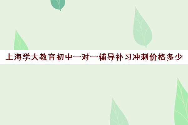 上海学大教育初中一对一辅导补习冲刺价格多少