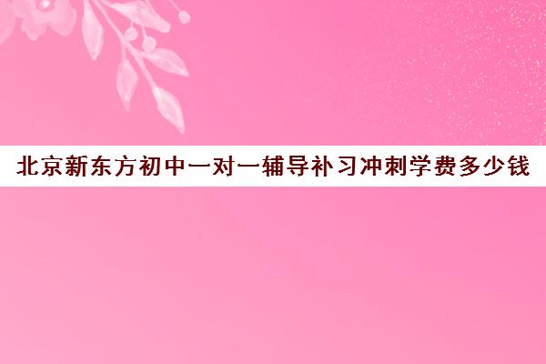 北京新东方初中一对一辅导补习冲刺学费多少钱