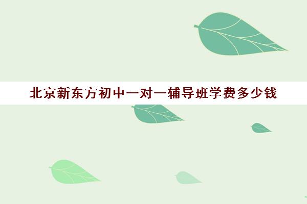 北京新东方初中一对一辅导班学费多少钱（北京初中一对一辅导多少钱一小时）