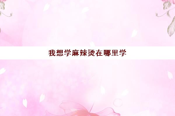 我想学麻辣烫在哪里学(正宗麻辣烫去哪学)