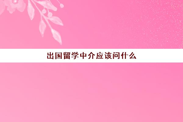 出国留学中介应该问什么(留学中介会帮忙办理签证吗)