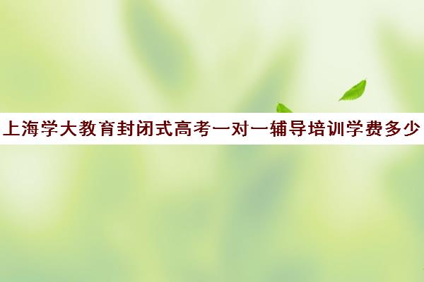 上海学大教育封闭式高考一对一辅导培训学费多少钱（初中一对一辅导价格）