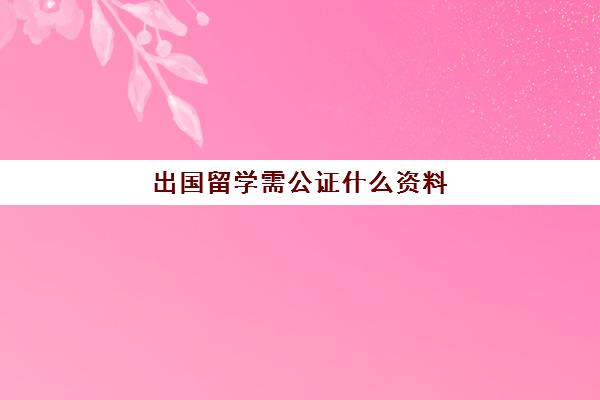 出国留学需公证什么资料(留学签证需要本人去吗)