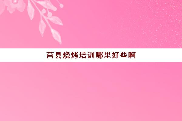 莒县烧烤培训哪里好些啊(淄博烧烤培训学校)