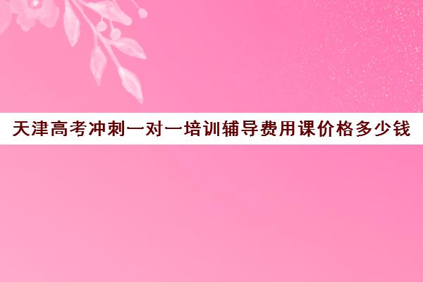 天津高考冲刺一对一培训辅导费用课价格多少钱(天津高中补课机构)