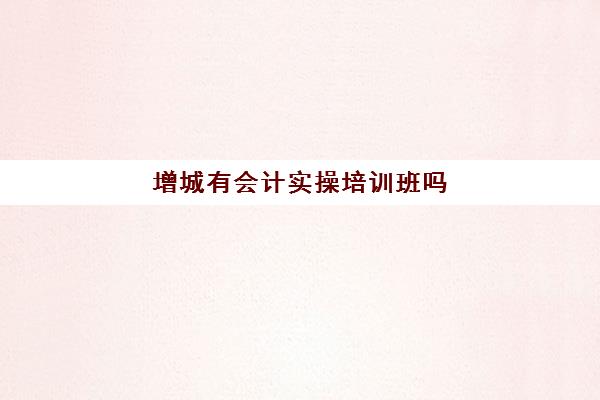 增城有会计实操培训班吗(增城区哪里可以学烘焙)