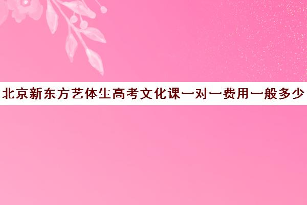 北京新东方艺体生高考文化课一对一费用一般多少钱（新东方高考培训怎么样）