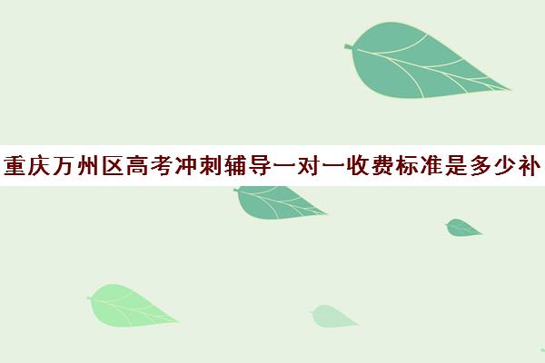 重庆万州区高考冲刺辅导一对一收费标准是多少补课多少钱一小时(新东方一对一收费价格