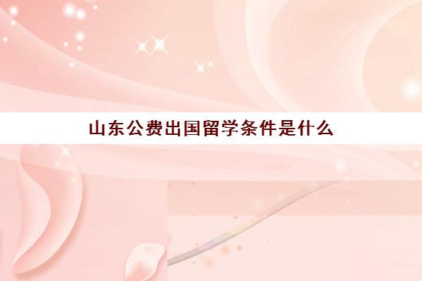 山东公费出国留学条件是什么(济南大学出国留学项目)