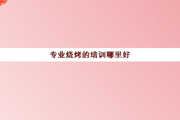 专业烧烤的培训哪里好(去哪里学烧烤技术好)