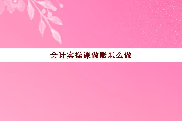 会计实操课做账怎么做(会计做账软件)