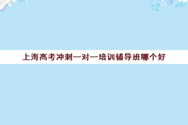 上海高考冲刺一对一培训辅导班哪个好(上海一对一补课收费标准)