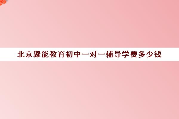 北京聚能教育初中一对一辅导学费多少钱（家教辅导一对一收费）