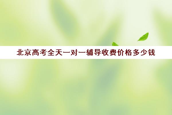 北京高考全天一对一辅导收费价格多少钱(初中一对一辅导哪个好)