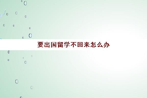 要出国留学不回来怎么办(没有学历可以出国留学吗)